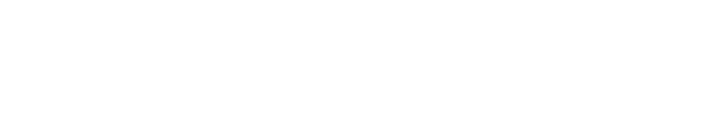 Storz Power_AI+ Logo_white Storz Power logo